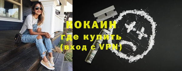 ПСИЛОЦИБИНОВЫЕ ГРИБЫ Медногорск