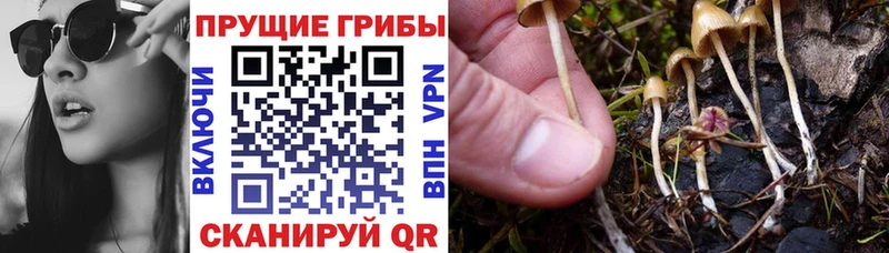 наркошоп  нарко площадка наркотические препараты  Галлюциногенные грибы GOLDEN TEACHER  Талдом 